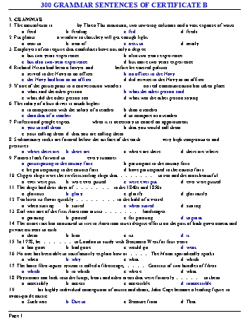 300 grammar sentences of certificate B