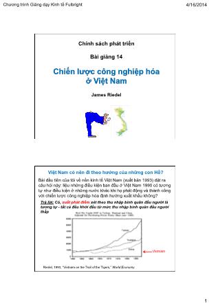 Bài giảng Chính sách phát triển - Bài 14: Chiến lược công nghiệp hóa ở Việt Nam