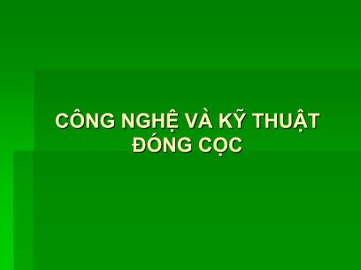 Bài giảng Công tác xây dựng cầu - Chương 4, Phần C: Công nghệ và kỹ thuật đoáng cọc