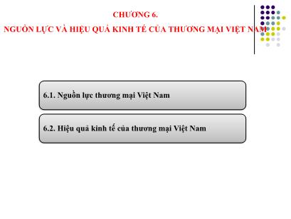 Bài giảng Điện tử học phần kinh tế thương mại Việt Nam - Chương 6: Nguồn lực và hiệu quả kinh tế của thương mại Việt Nam