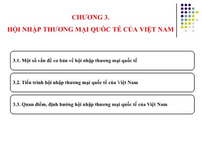 Bài giảng Điện tử học phần kinh tế thương mại Việt Nam - Chương 3: Hội nhập thương mại quốc tế của Việt Nam