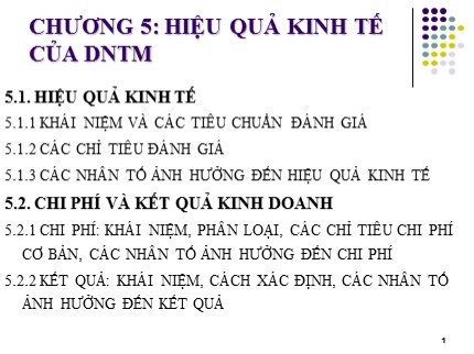 Bài giảng Kinh tế doanh nghiệp - Chương 5: Hiệu quả kinh tế của doanh nghiệp thương mại