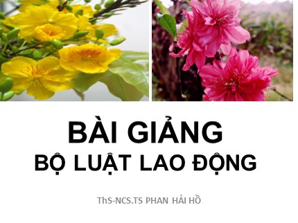 Bài giảng Luật lao động