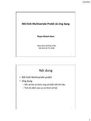 Bài giảng Mô hình Multivariate Probit và ứng dụng - Phạm Khánh Nam