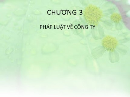 Bài giảng môn Luật kinh tế - Chương 3: Pháp luật về công ty