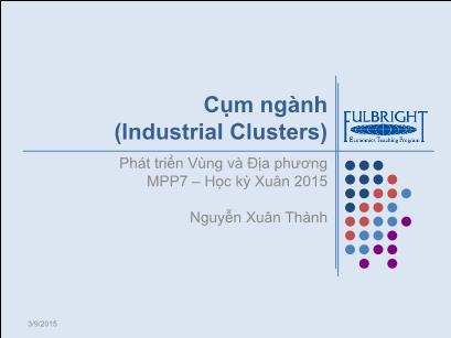 Bài giảng Phát triển vùng và địa phương - Cụm ngành - Nguyễn Xuân Thành