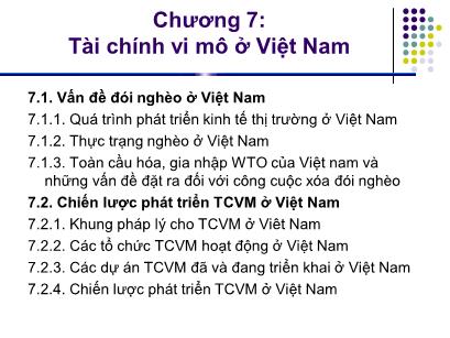 Bài giảng Tài chính vi mô ở Việt Nam