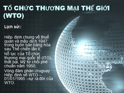 Bài giảng Tổ chức thương mại thế giới (WTO)