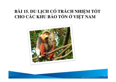 Bài giảng Du lịch - Bài 15: Du lịch có trách nhiệm tốt cho các khu bảo tồn ở Việt Nam