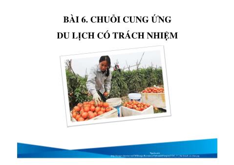 Bài giảng Du lịch - Bài 6: Chuỗi cung ứng du lịch có trách nhiệm