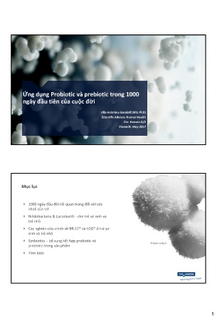 Ứng dụng Probiotic và Prebiotic trong 1000 ngày đầu tiên của cuộc đời